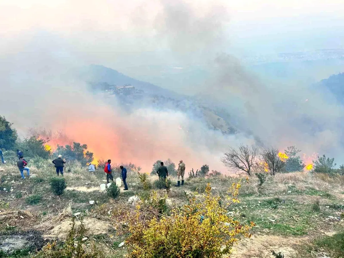 Arsuz\'da Orman Yangını: 152 Araç İle Mücadele