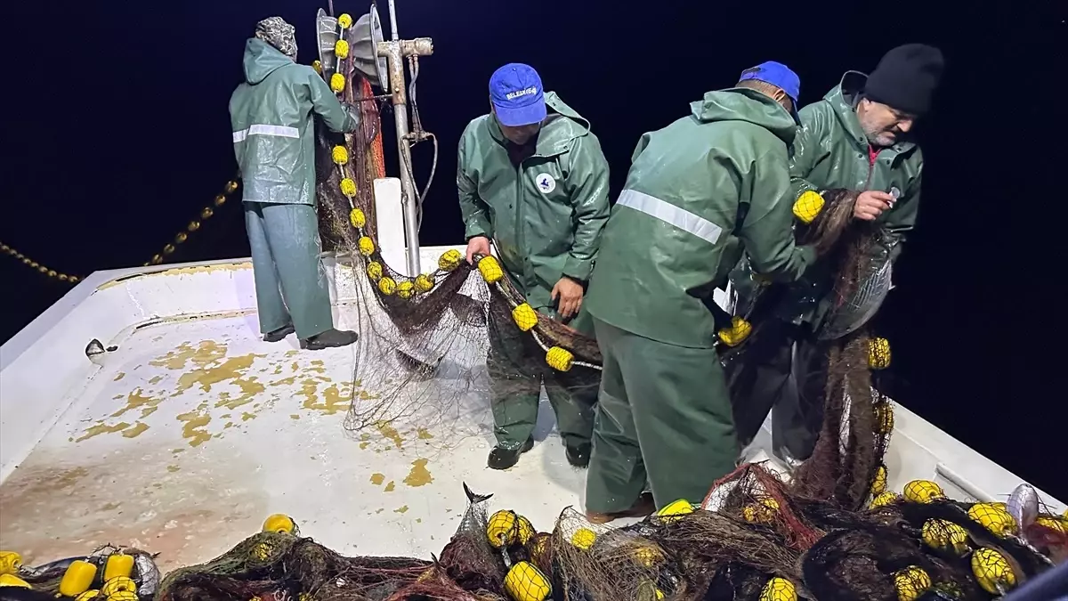 Göç yolculuğundaki palamut Kastamonulu balıkçıların yüzünü güldürdü