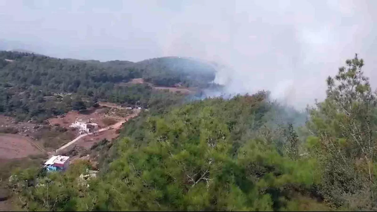 Hatay\'da Orman Yangınına Müdahale Başladı