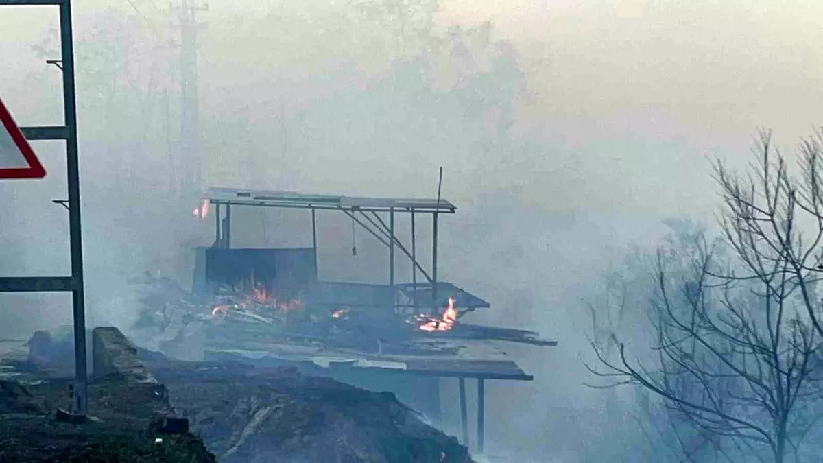 Hatay\'da Orman Yangını Evleri Tehdit Ediyor