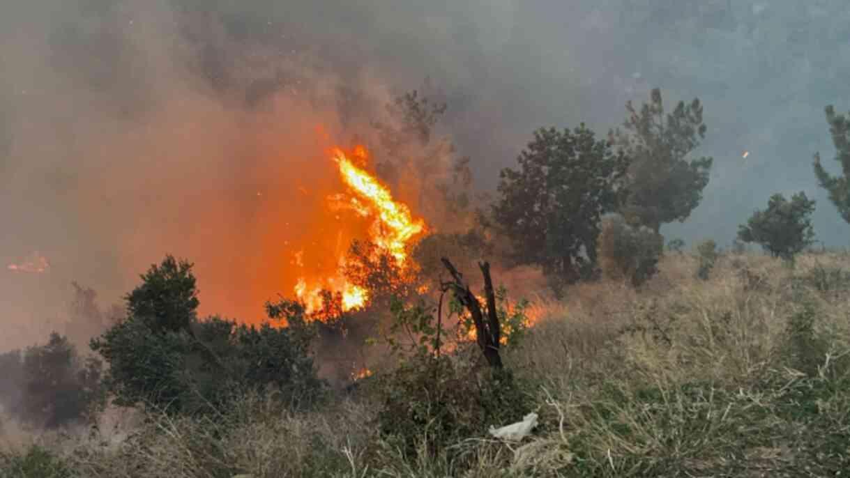 Hatay'da Orman Yangını Evleri Tehdit Ediyor, Destek Talepleri Artıyor