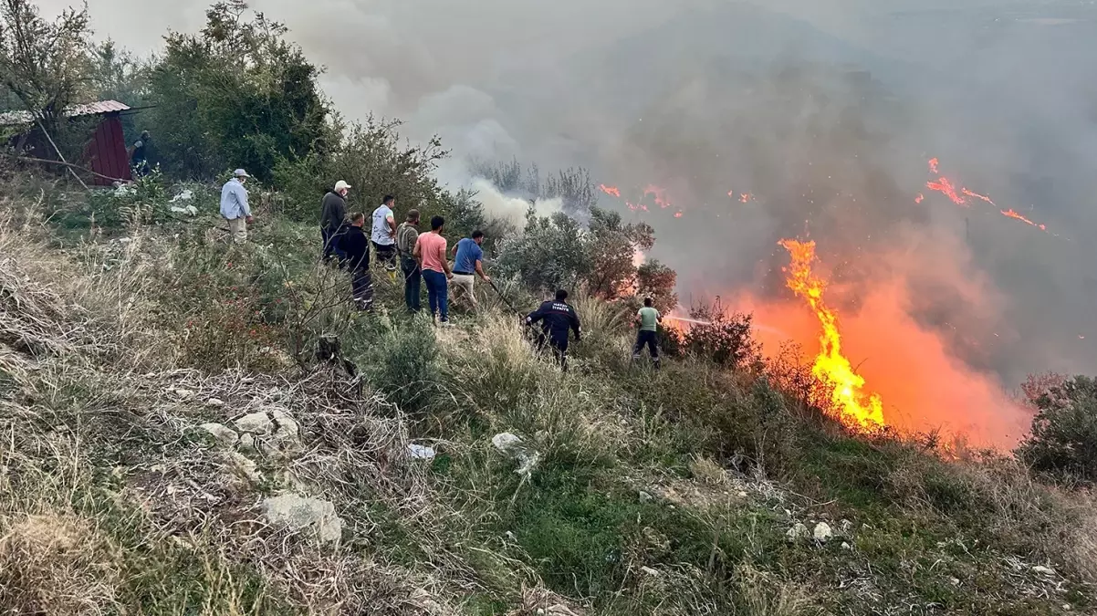 Hatay\'da ormanda başlayan yangın evlere sıçradı