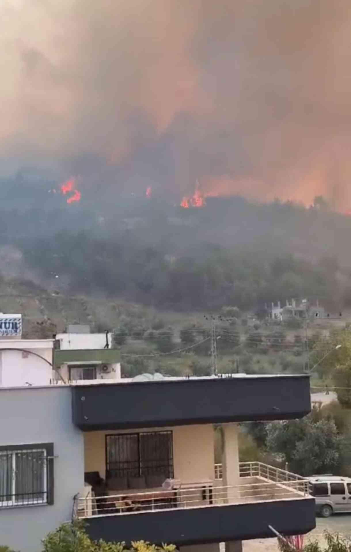 Hatay'da Orman Yangını Evleri Tehdit Ediyor, Destek Talepleri Artıyor