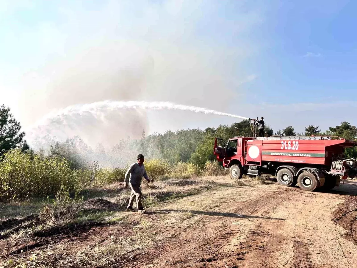 Hatay\'da Orman Yangını Büyüyor