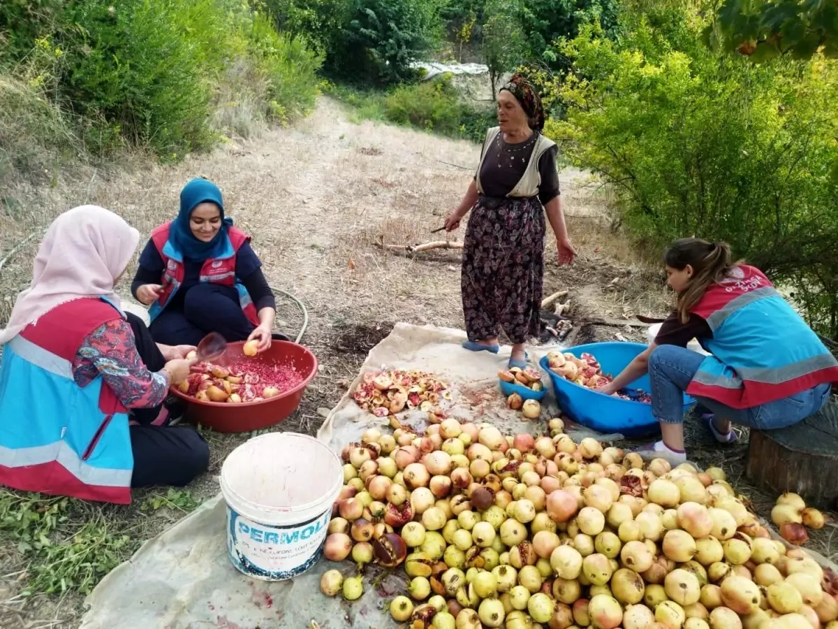 Gazipaşa\'da Vefa Sosyal Destek Grubu 600 Faaliyet Gerçekleştirdi