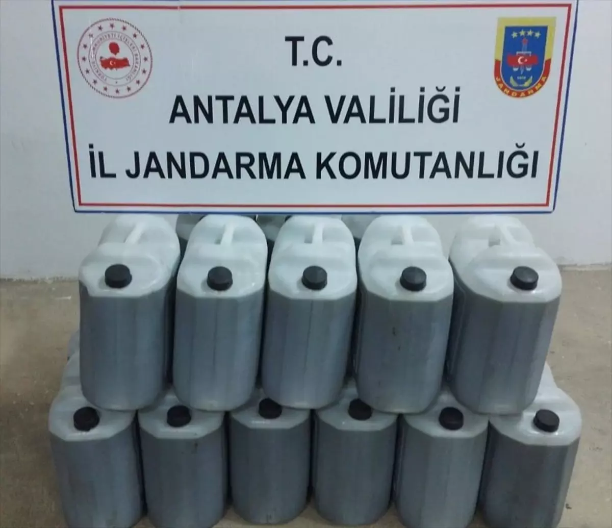 Gazipaşa\'da 6 Bin Litre Sahte Zeytinyağı Ele Geçirildi