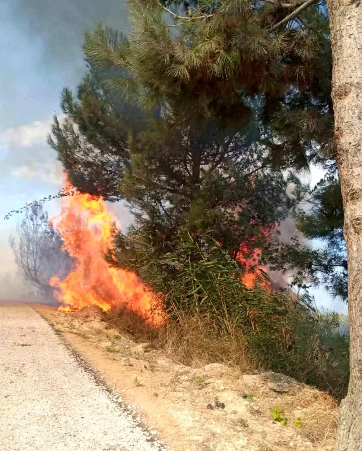 Antakya\'da Orman Yangını Kontrol Altına Alındı