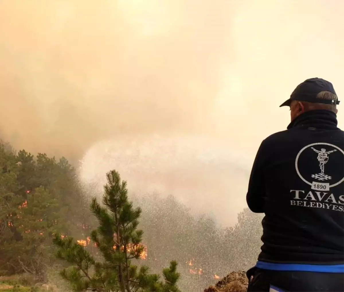 Tavas Belediye Başkanı Yangınla İlgili Sorumluları Kınadı