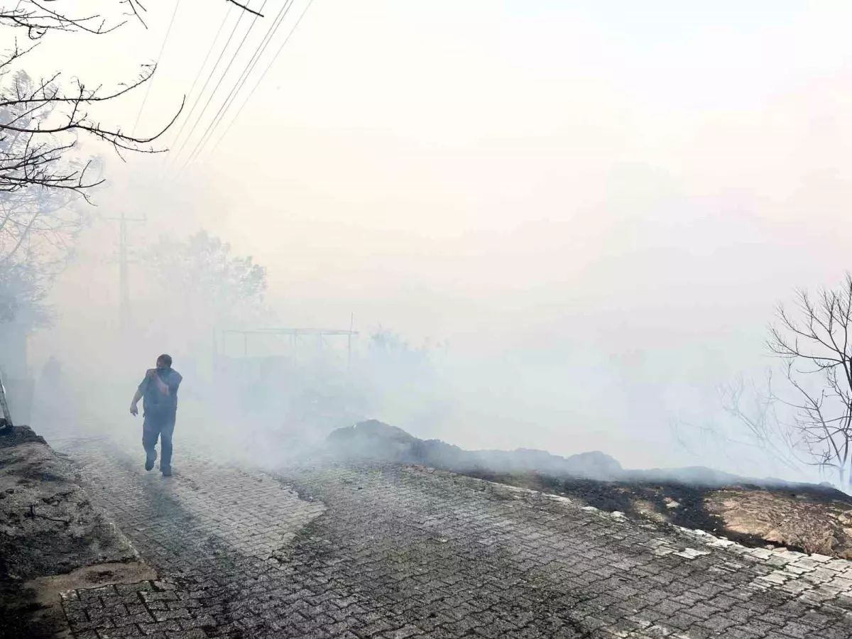 Hatay\'daki Orman Yangını Kontrol Altına Alındı