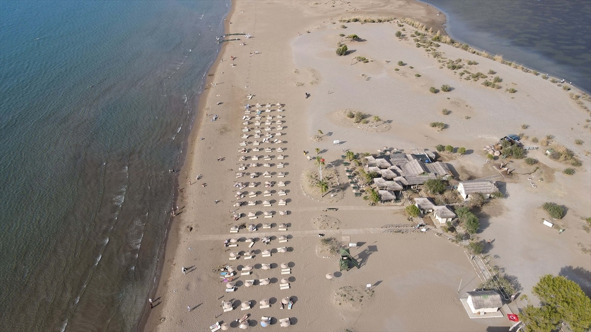 İztuzu\'nda Caretta Caretta Yavru Rekoru