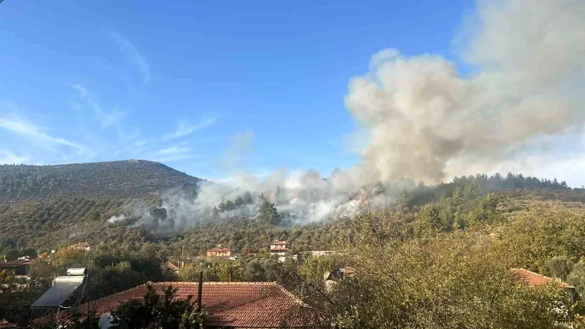 Muğla\'da Orman Yangınına Hava Takviyesi