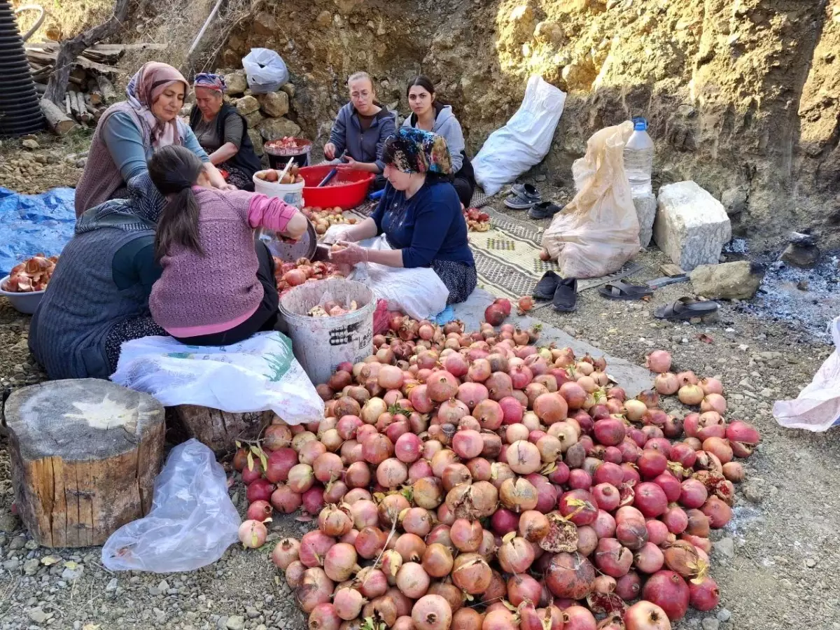 Feke\'de Nar Ekşisi Üretimi Başladı