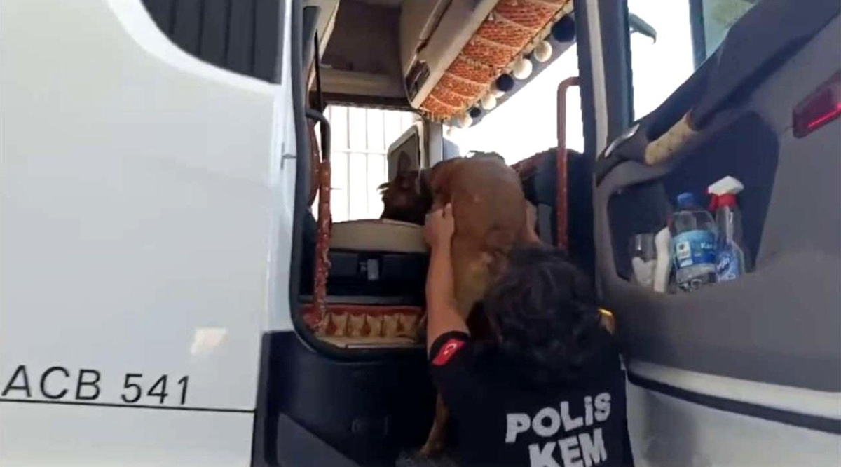 Osmaniye\'de Uyuşturucu Operasyonu: 32 Tutuklama
