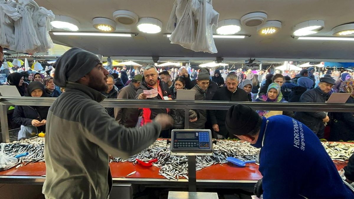 Bolu\'da Hamsi ve Palamut Ziyarete Açık