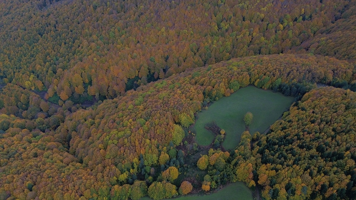 Kastamonu Ormanları Sonbahar Güzellikleriyle Dronla Görüntülendi