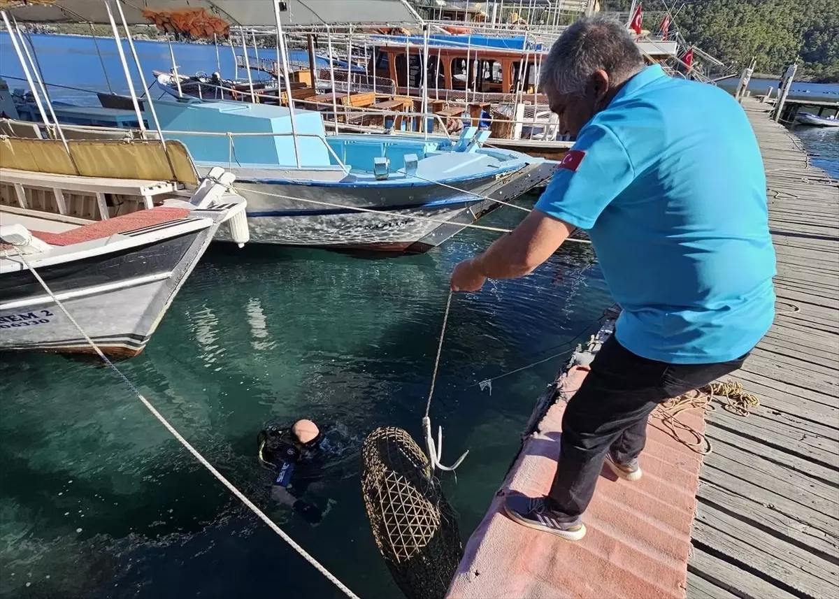 Gökova\'da Yasa Dışı Balık Avcılığına Denetim