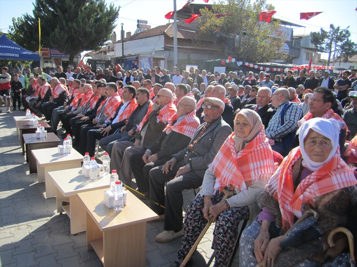 Kale\'de Zeytin Festivali Düzenlendi