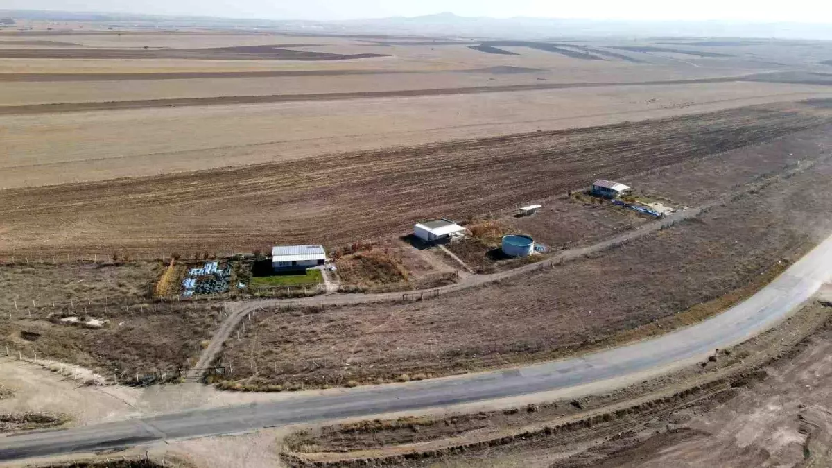 Odunpazarı Belediyesi Kaçak Yapıları Yıkıma Başlıyor