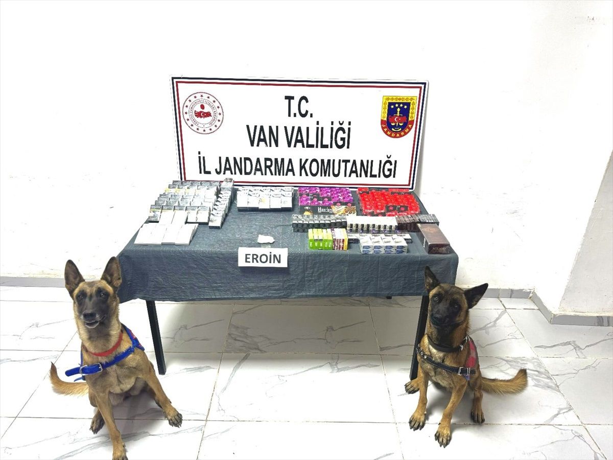Van\'da Kaçakçılık Operasyonu: 382 Gözaltı