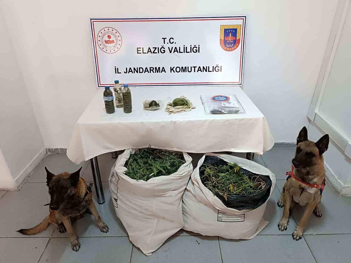 Elazığ\'da büyük uyuşturucu operasyonu