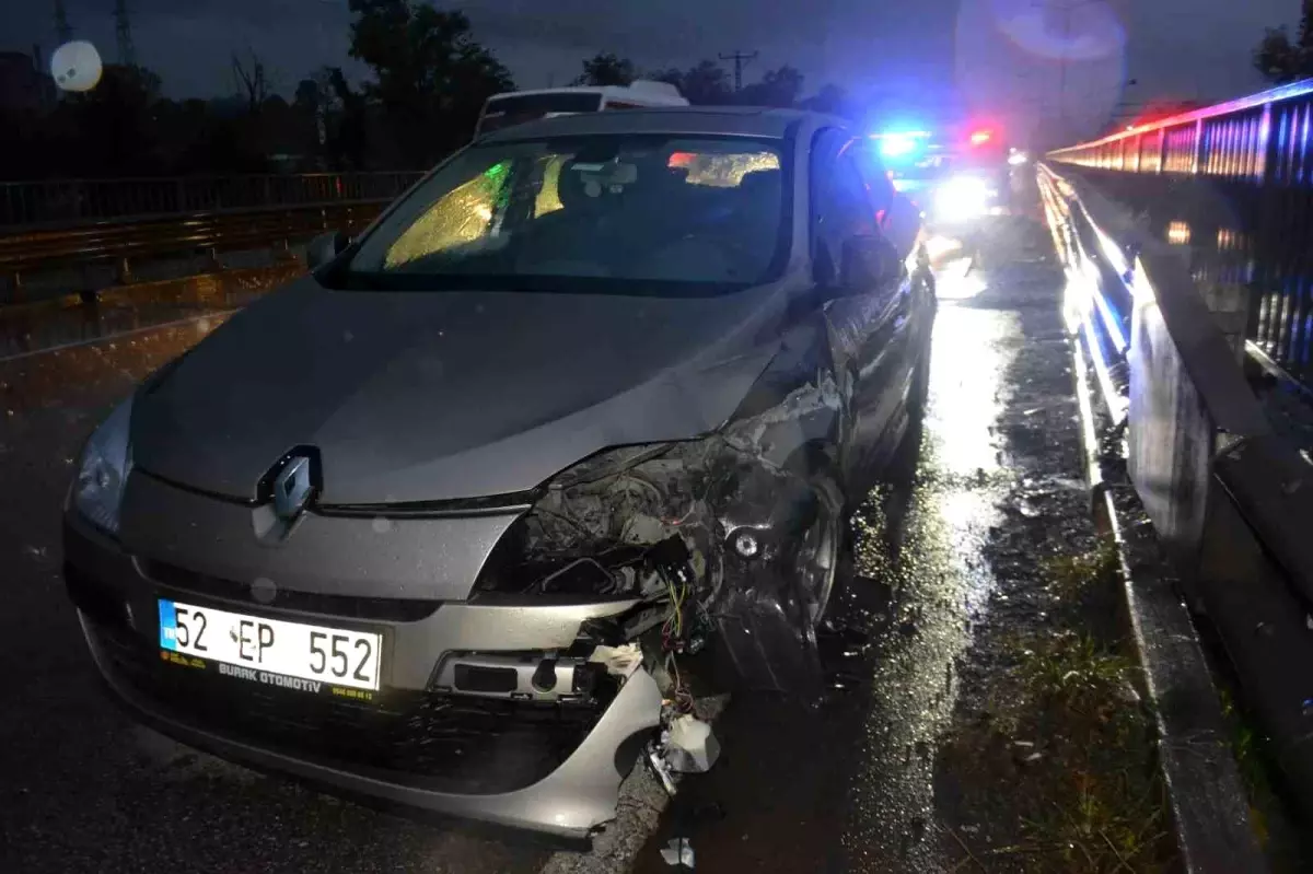 Ordu\'da Kediye Çarpmamak İçin Ani Manevra Yapan Sürücünün Kazası