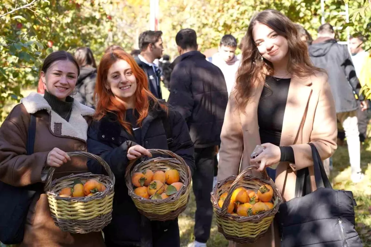 Bilecik’te Üniversite Öğrencileri İlk Hurma Hasadını Yaptı