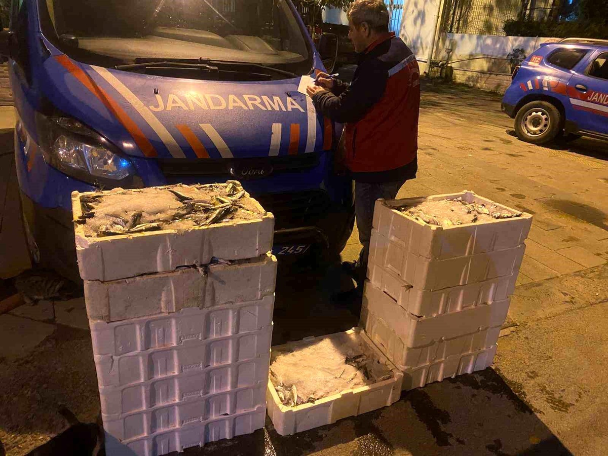 İstanbul\'da Yasak Balık Nakline Cezalar