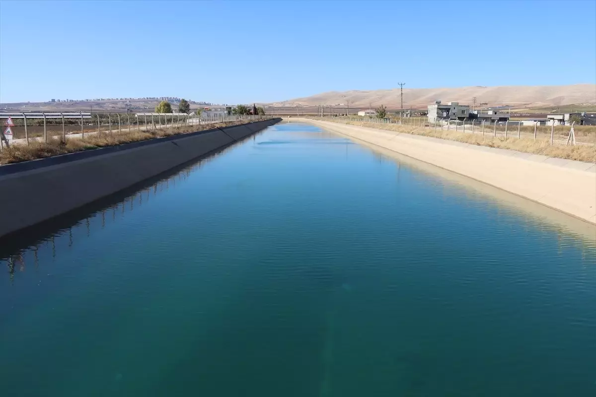 Şanlıurfa\'da Tarımda Organik ve İyi Uygulamalar Artıyor