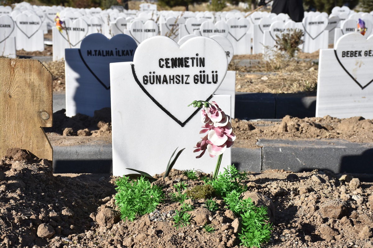 Parçalanmış Bebek Cesedine Anma