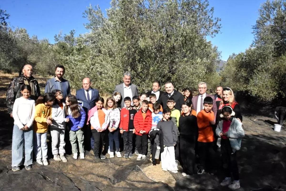 Öğrenciler Tarladan Sofraya Zeytin Hasadı Etkinliğinde Bir Araya Geldi