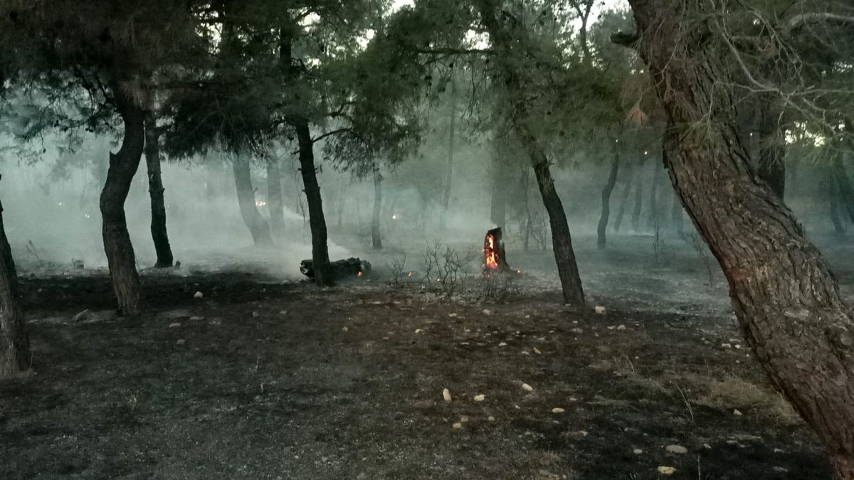 Edirne\'de Orman Yangınına Müdahale