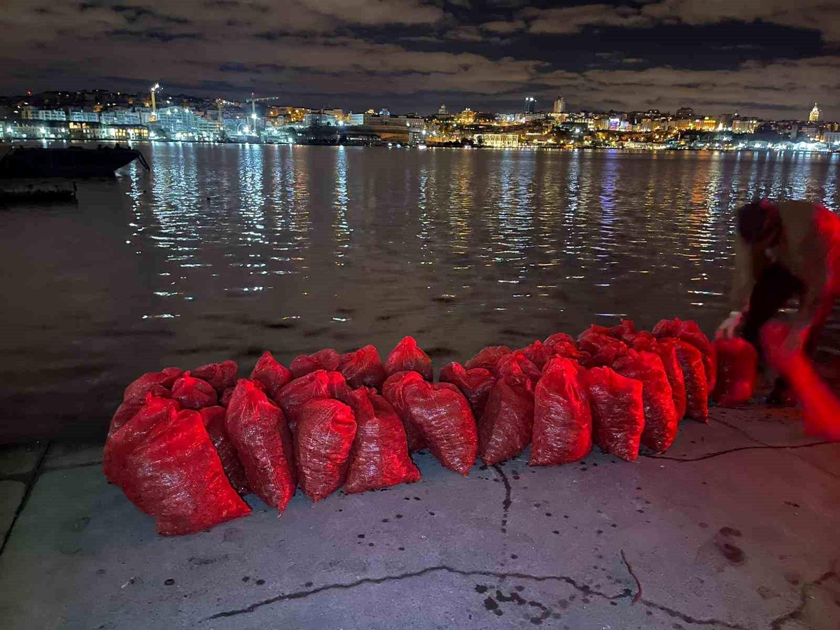 Sarıyer\'de Kaçak Midye Operasyonu
