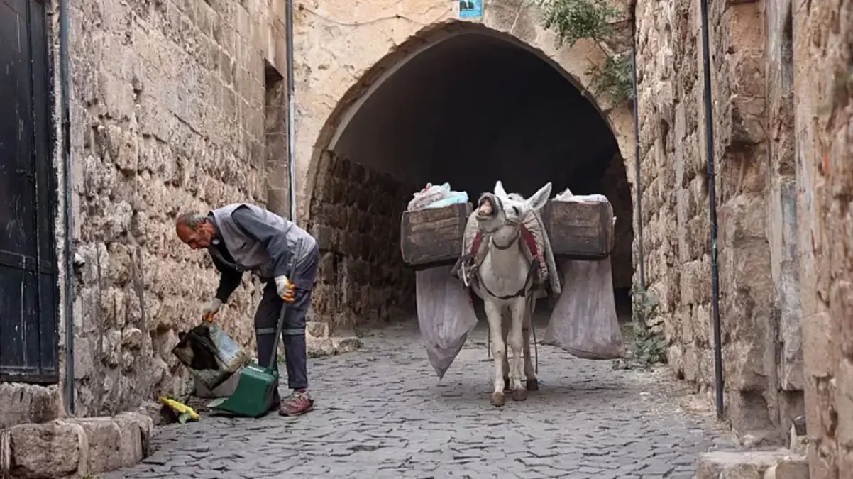 Mardin\'de \'çalışan eşekler\' emekliye ayrılıyor