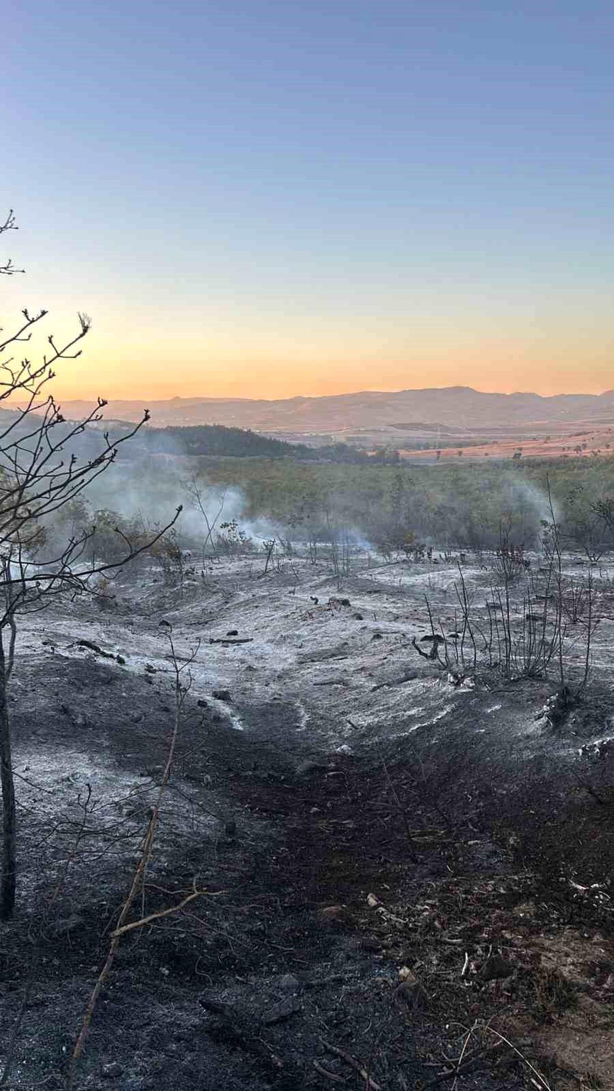 Yenişehir\'de Orman Yangını Kontrol Altına Alındı