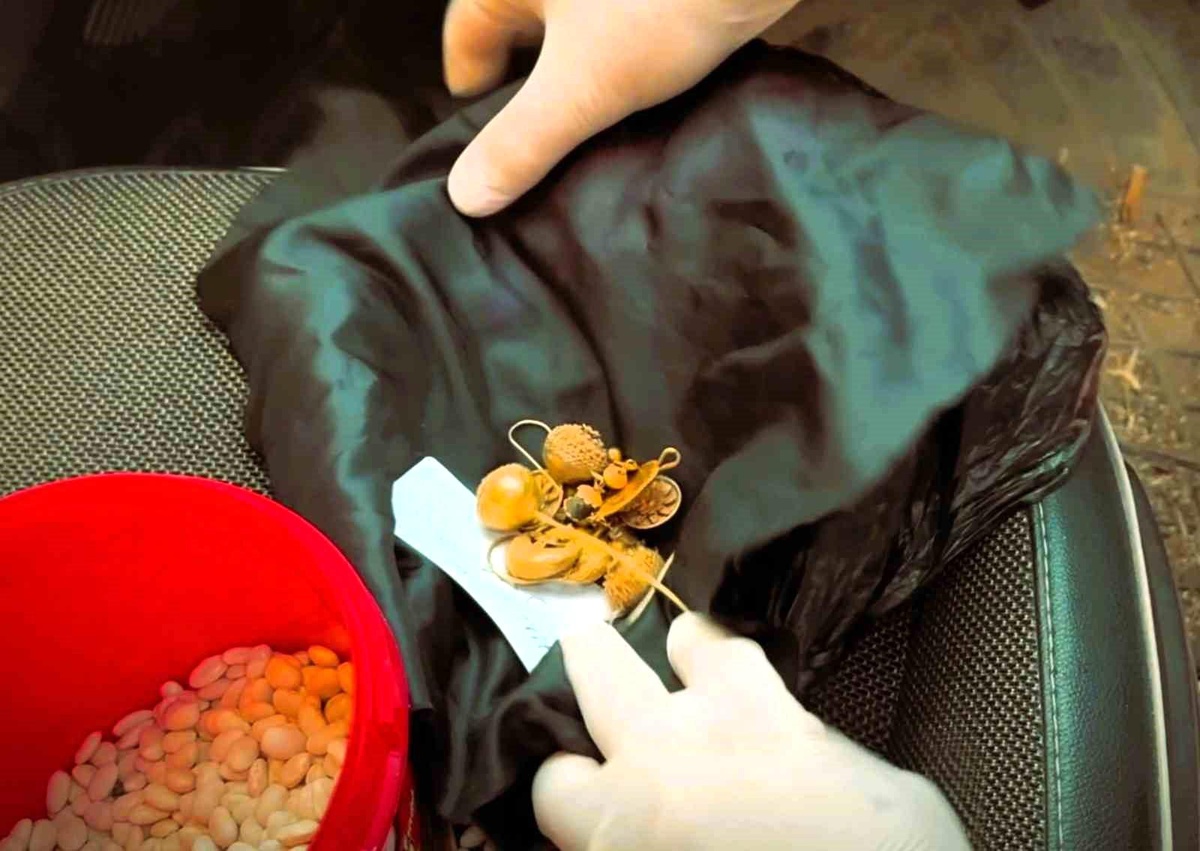 Denizli\'de Tarihi Eser Kaçakçılığı Operasyonu
