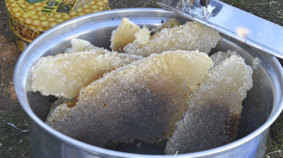 Bitlis\'in Altın Bal\'ı Hasat Edildi