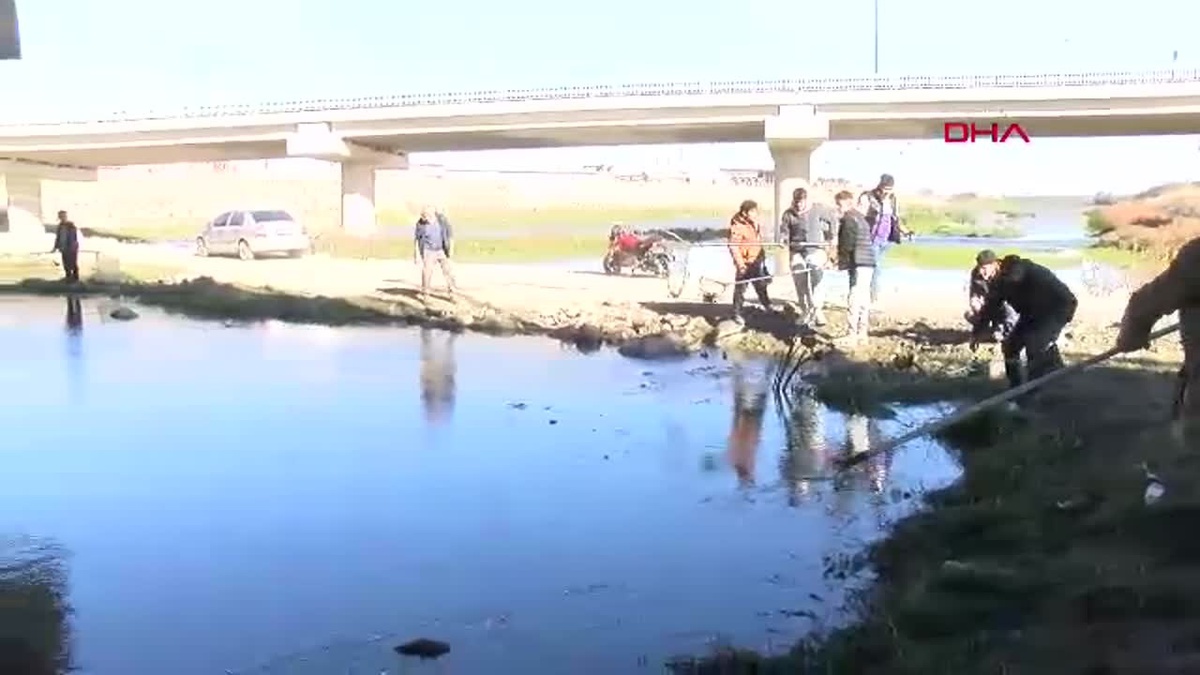 Nilüfer Çayı\'nda Balık Ölümleri