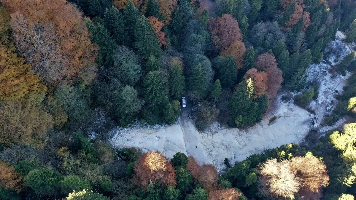 Giresun\'da Güz Renkleri