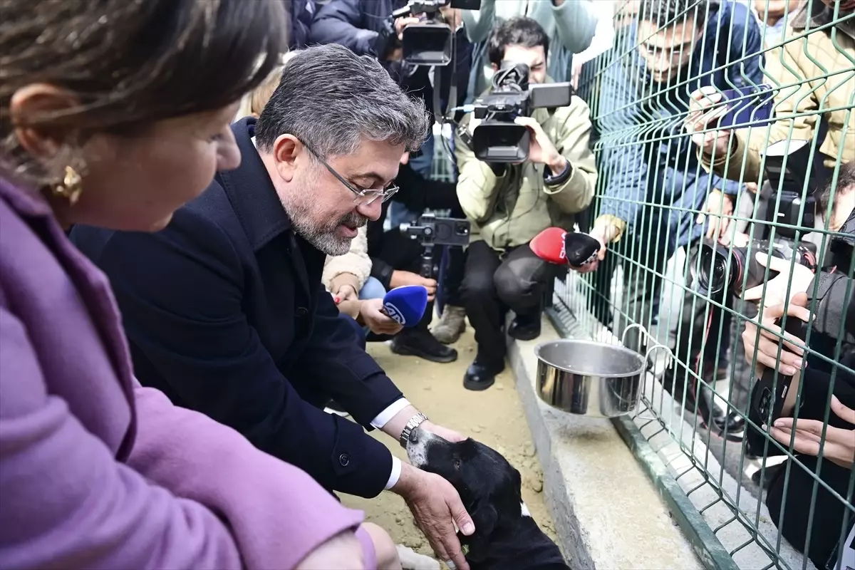 Bakan Yumaklı, Zeytin adlı köpeği sahiplendi