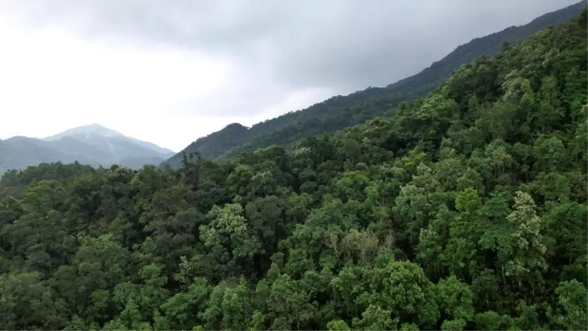 Uluslararası Sempozyumda Ulusal Parkların Korunması Tartışıldı