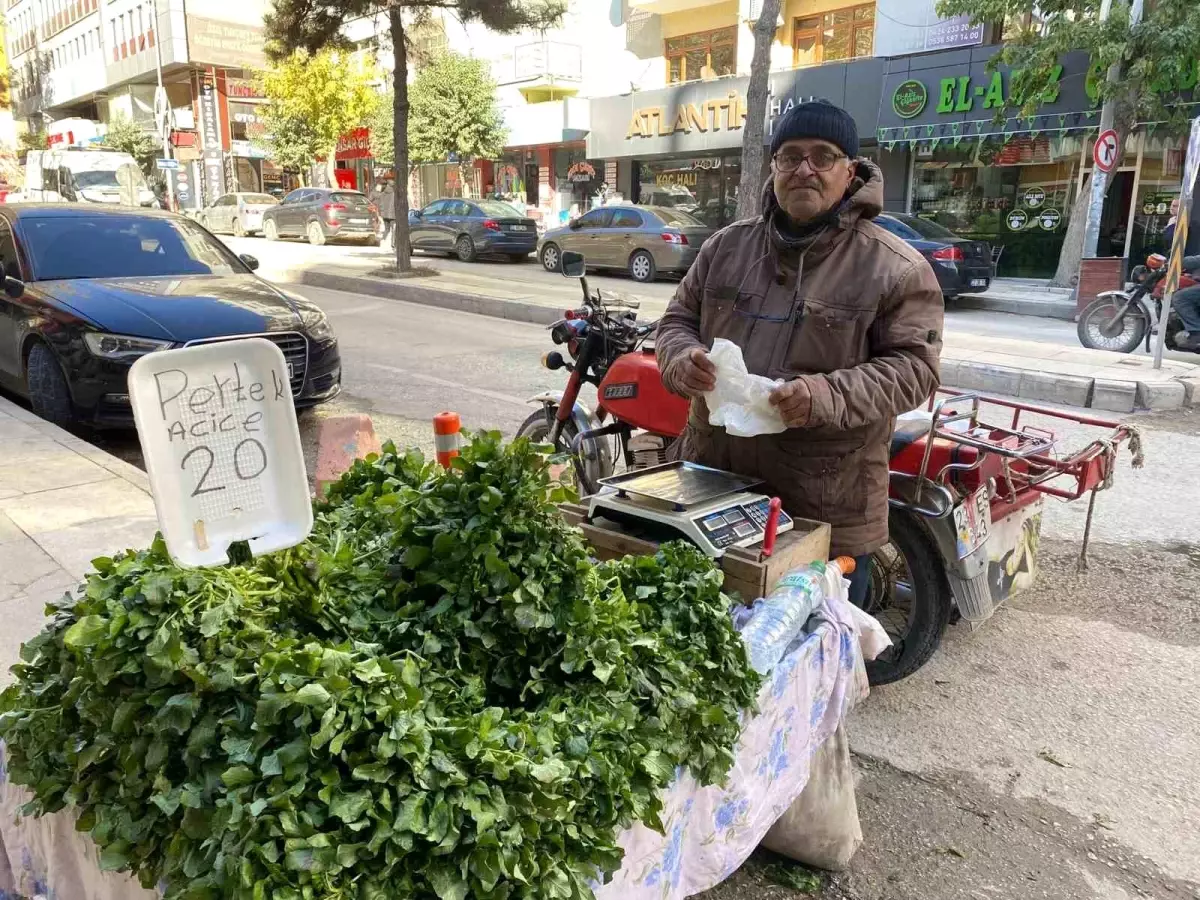 Elazığ\'da 70 yaşındaki Mustafa dedenin hayat mücadelesi