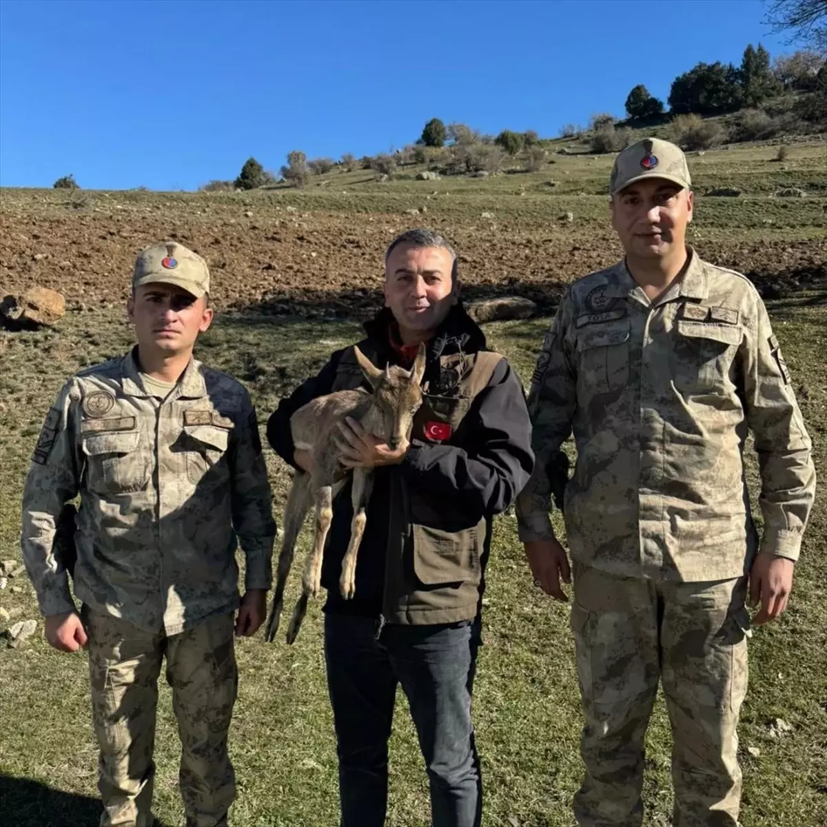 Kartal Saldırısına Uğrayan Keçi Yavrusuna Tedavi