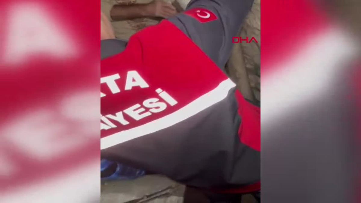 Tuvaletten Kurtarılan Yavru Kedi