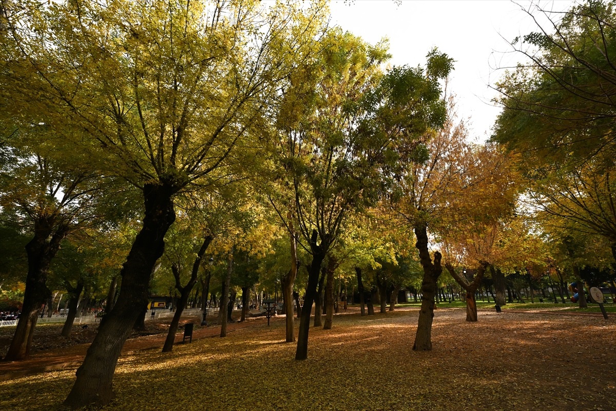 Gaziantep\'te Sonbahar Renkleri