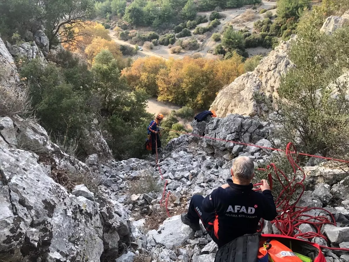 Mahsur Keçi AFAD Tarafından Kurtarıldı