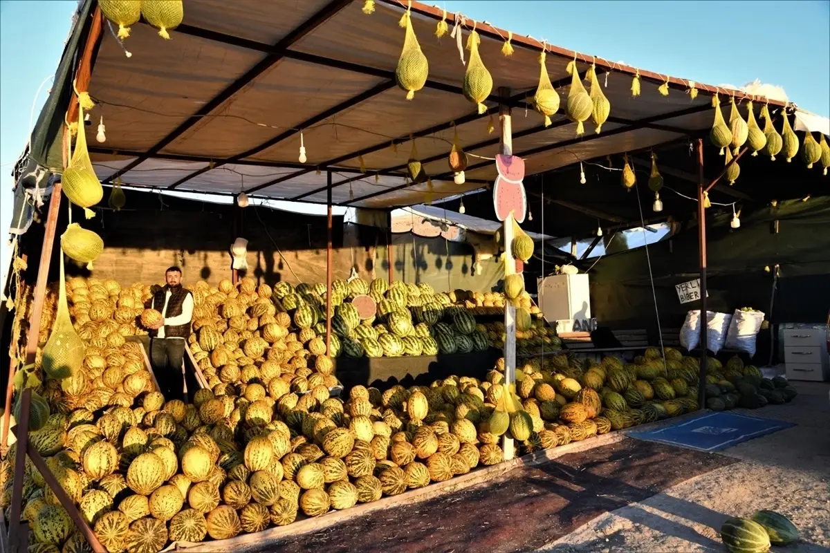 Narmikan Kavunu Tezgahlarda Yerini Aldı