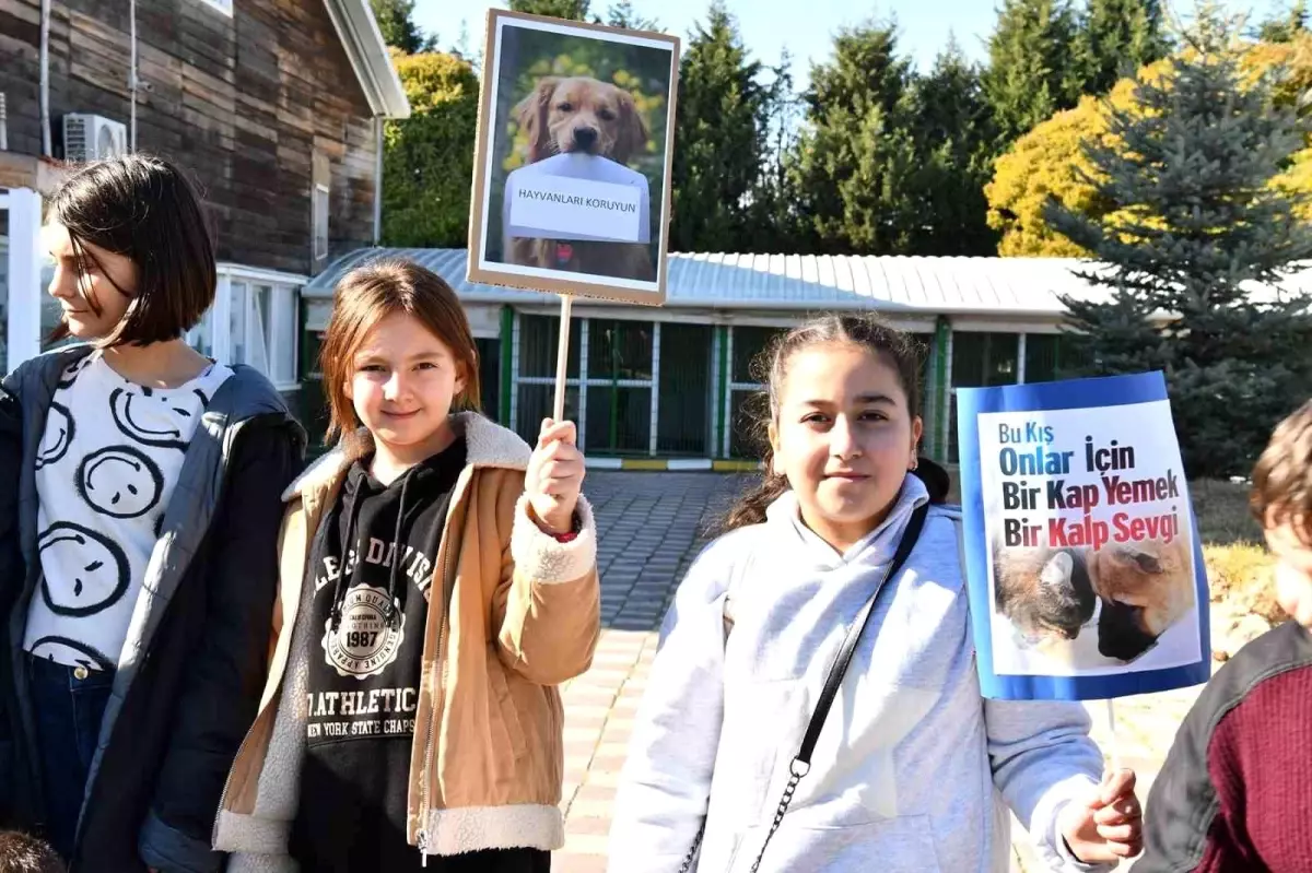 Öğrencilerden Sokak Hayvanlarına Destek Projesi