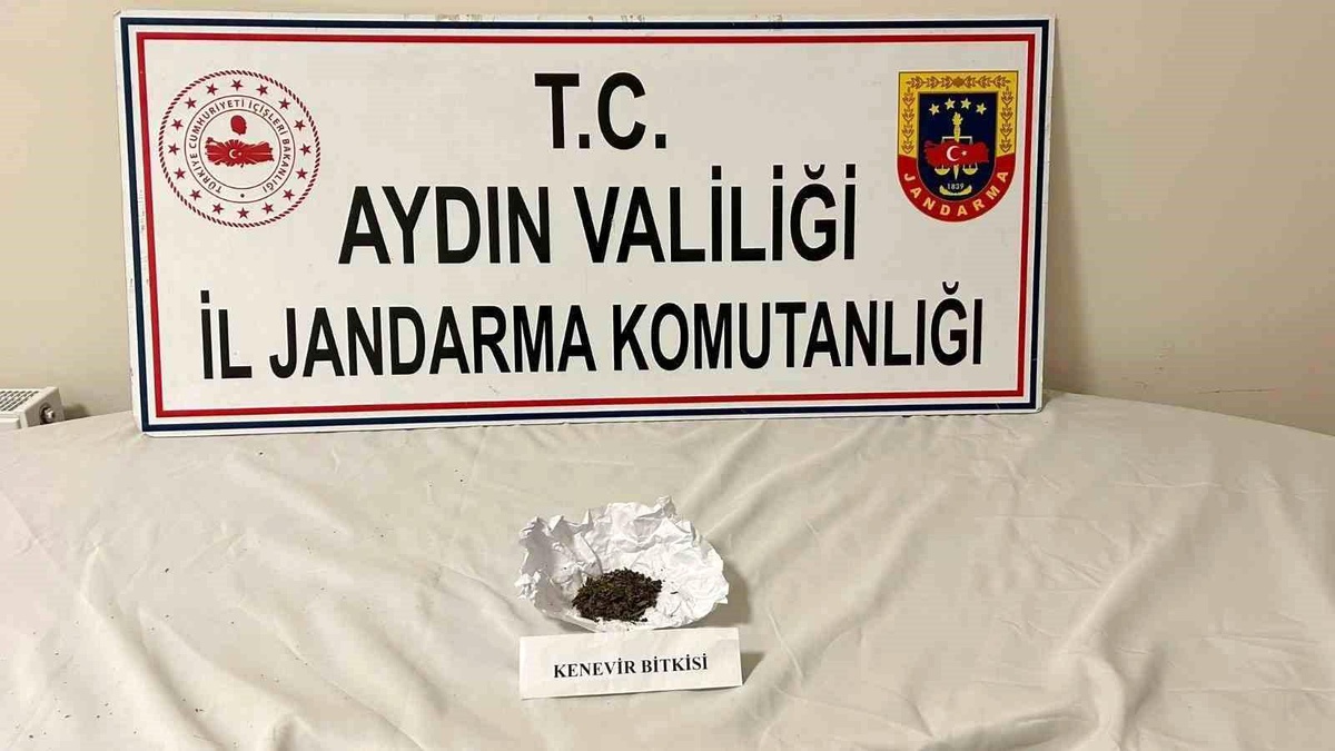 Aydın\'da Uyuşturucu Operasyonu