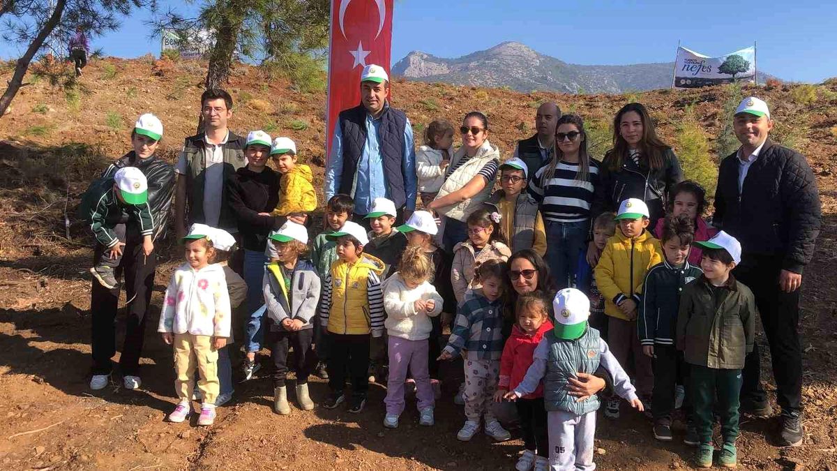 Datça\'da 2 bin 200 Fidan Dikildi