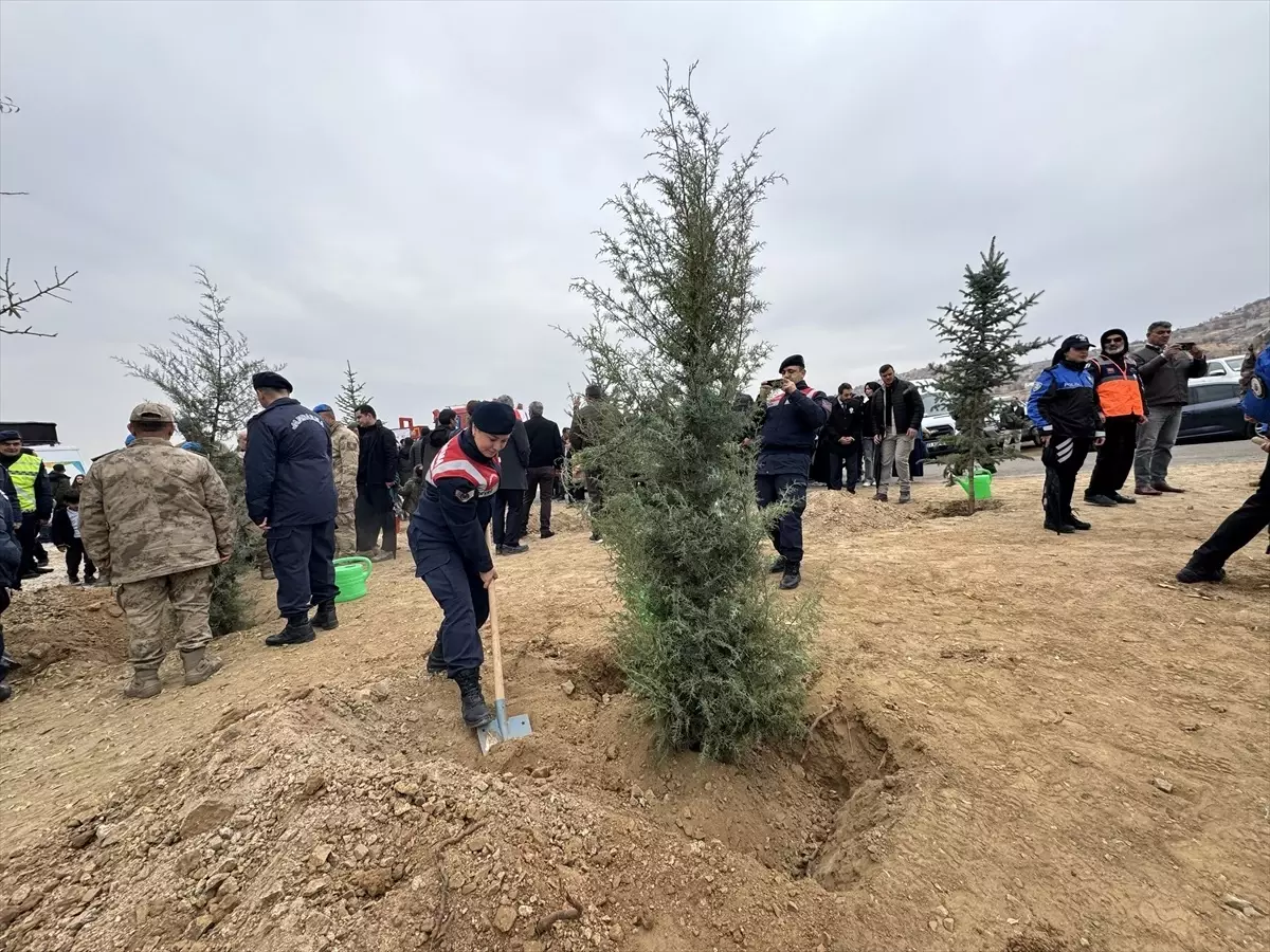 Elazığ, Batman ve Mardin\'de fidanlar toprakla buluşturuldu